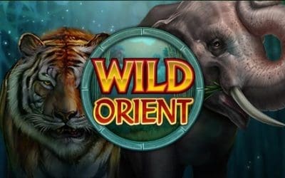 Wild Orient Slot Review: 243 Ways to Win, Paid Respins, Free Spins, Wild Symbols, and Bonus Details
