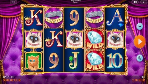 Hollywood Pets Slot Machine