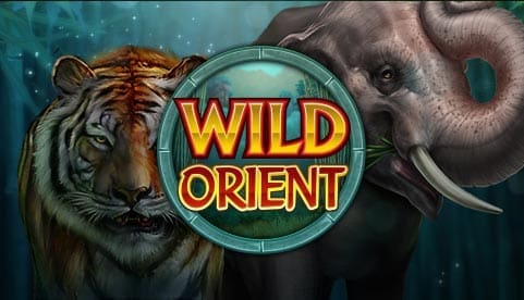 Wild Orient Slot Review: 243 Ways to Win, Paid Respins, Free Spins, Wild Symbols, and Bonus Details